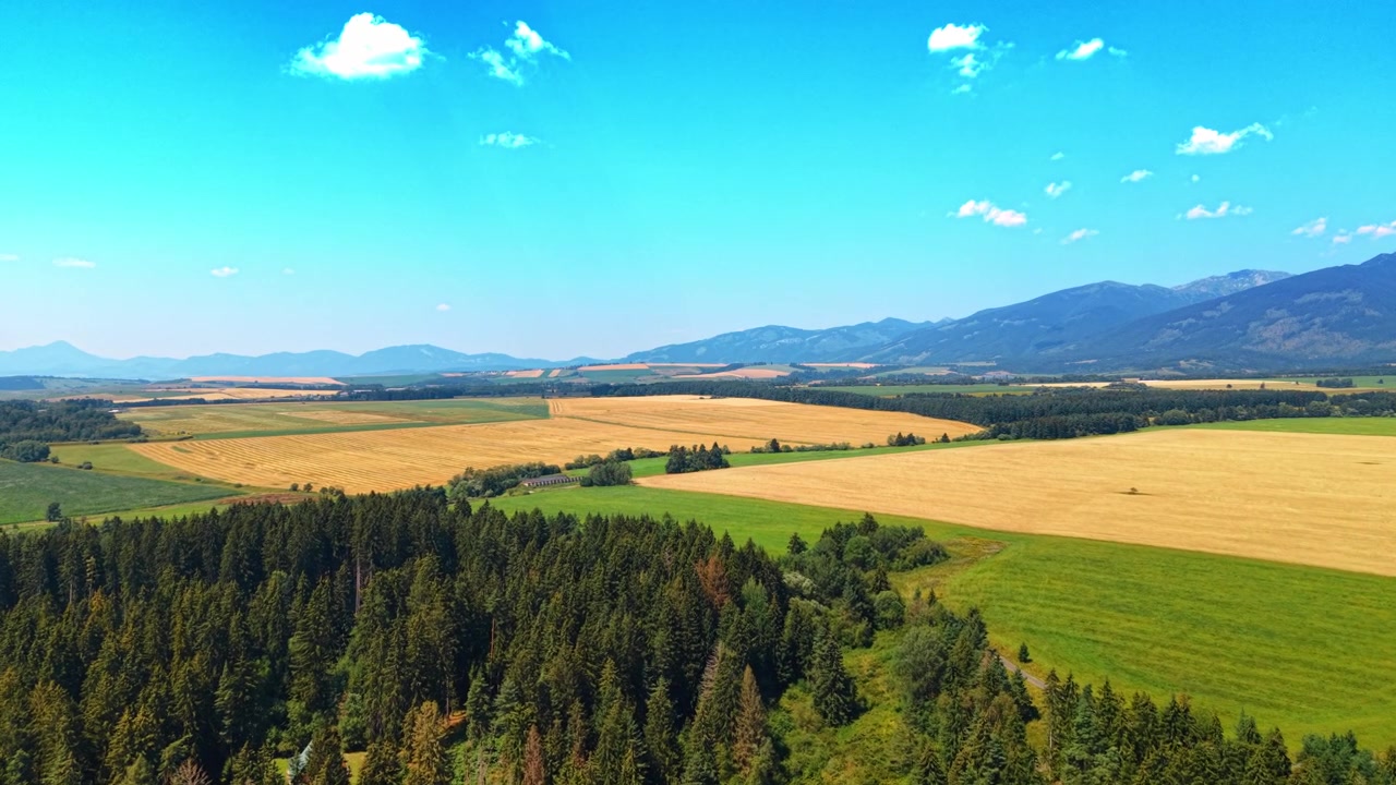 Letecký pohled na smrkový les a zemědělskou půdu, Slovensko. Pohled z výšky na žlutá pole, zelené lesy a hory v Liptovském regionu pod modrou oblohou.