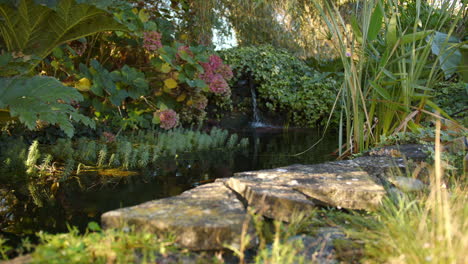 serene garden pond with waterfall