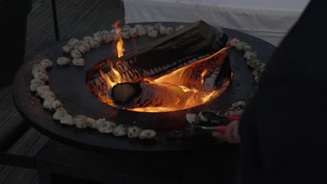 Großes-Lagerfeuer-Mit-Großen-Scheiten-Brennholz,-Essen-Wird-Bei-Hochzeitsfeier-Geröstet