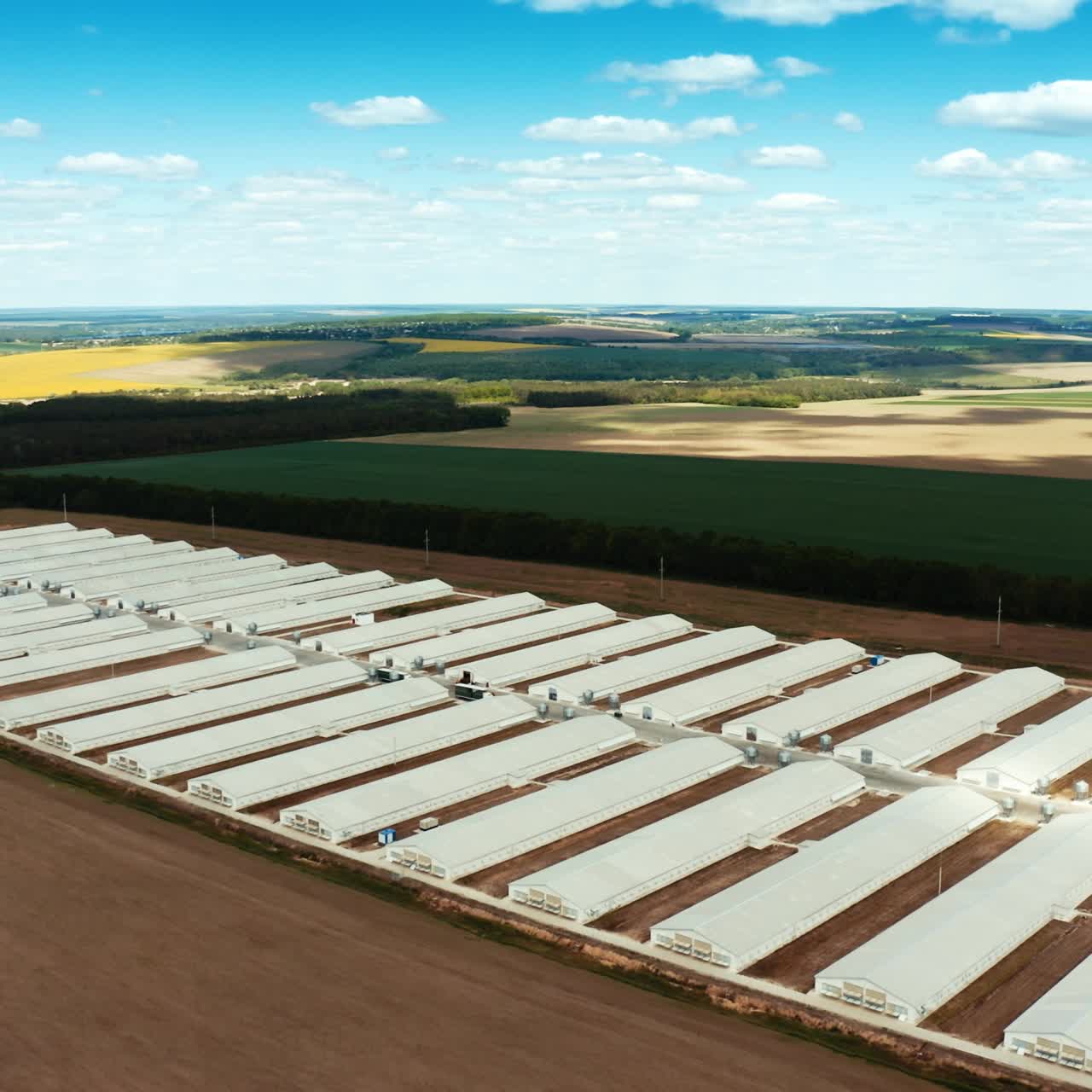 Industrial factory in rural place. Long white buildings of innovative plant on the natural background of fields. Aerial view.