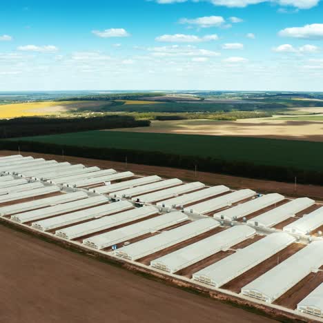 industrial factory in rural place. long white buildings of innovative plant on the natural background of fields. aerial view.