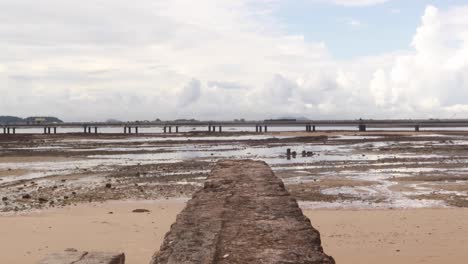 an establishing tilt shot following a stone wall revealing the cinta costera bridge which crosses the panama canal, the ocean water retracting during low tide leaving behind an empty bank, panama city