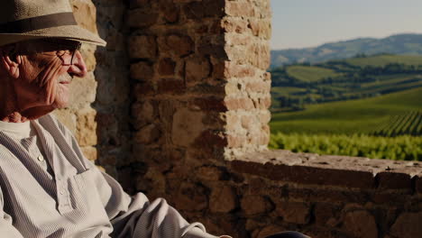 senior man contemplating a vineyard view