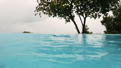 a lush tree leaf falls into turquoise water