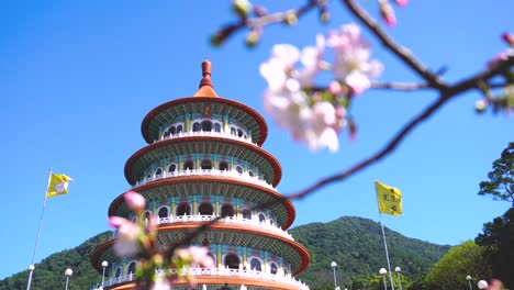 tian yuan temple with pink sakura flower at taipei