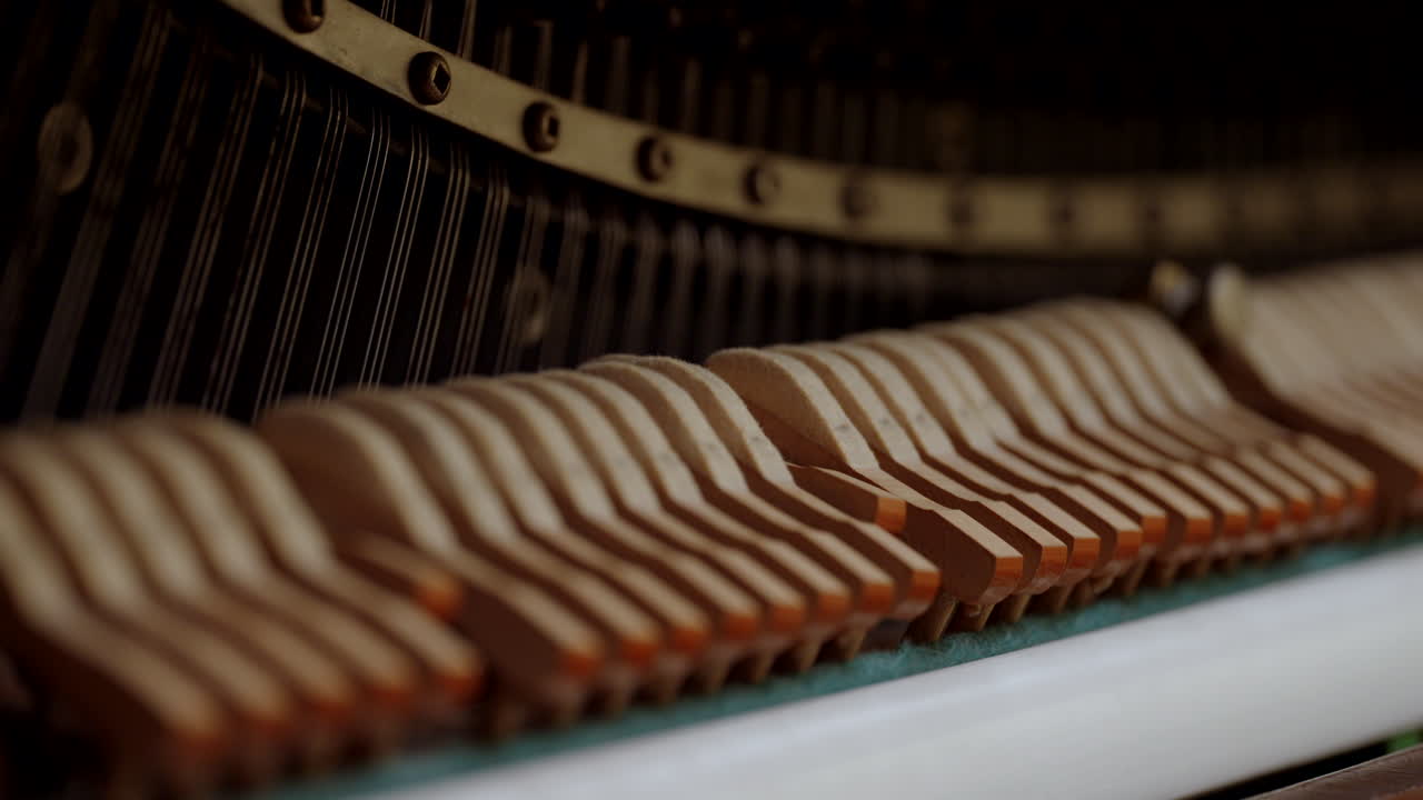 누군가가 피아노를 연주할 때 현을 치는 피아노 해머