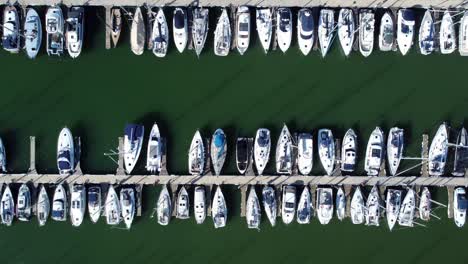 boats in the harbour