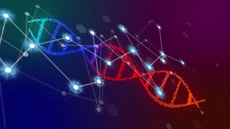 animation of glowing white network of connections over dna strand on dark background