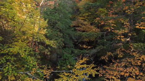 Bewegen-Sie-Sich-Durch-Baumwipfel-Und-Enthüllen-Sie-Einen-Wasserfall,-Der-Im-Herbst-Durch-Den-Wald-Kaskadiert