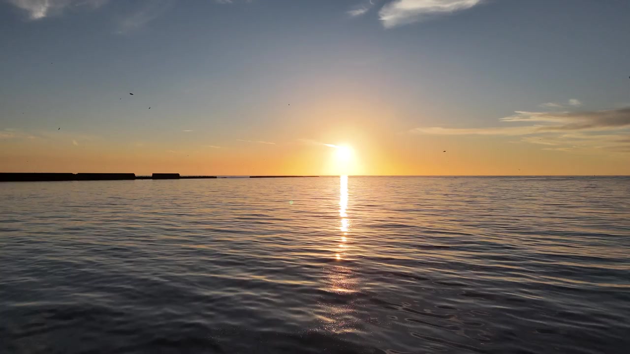 Forward drone flight over water with cliffs on the left and birds ahead.