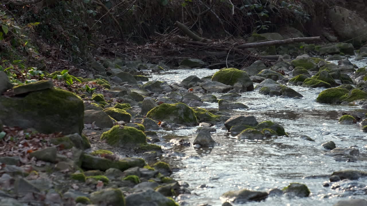 Vandløb, der flyder gennem klipper i uberørt natur.