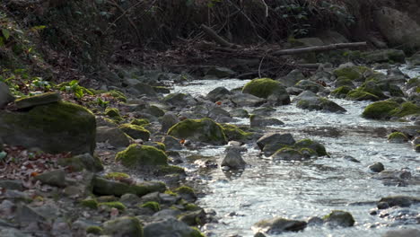 Corriente-De-Agua-Que-Fluye-A-Través-De-Las-Rocas-En-La-Naturaleza-Prístina