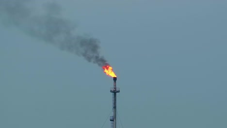 bird flying near a flame burning from flare stack at industry refinery, static view