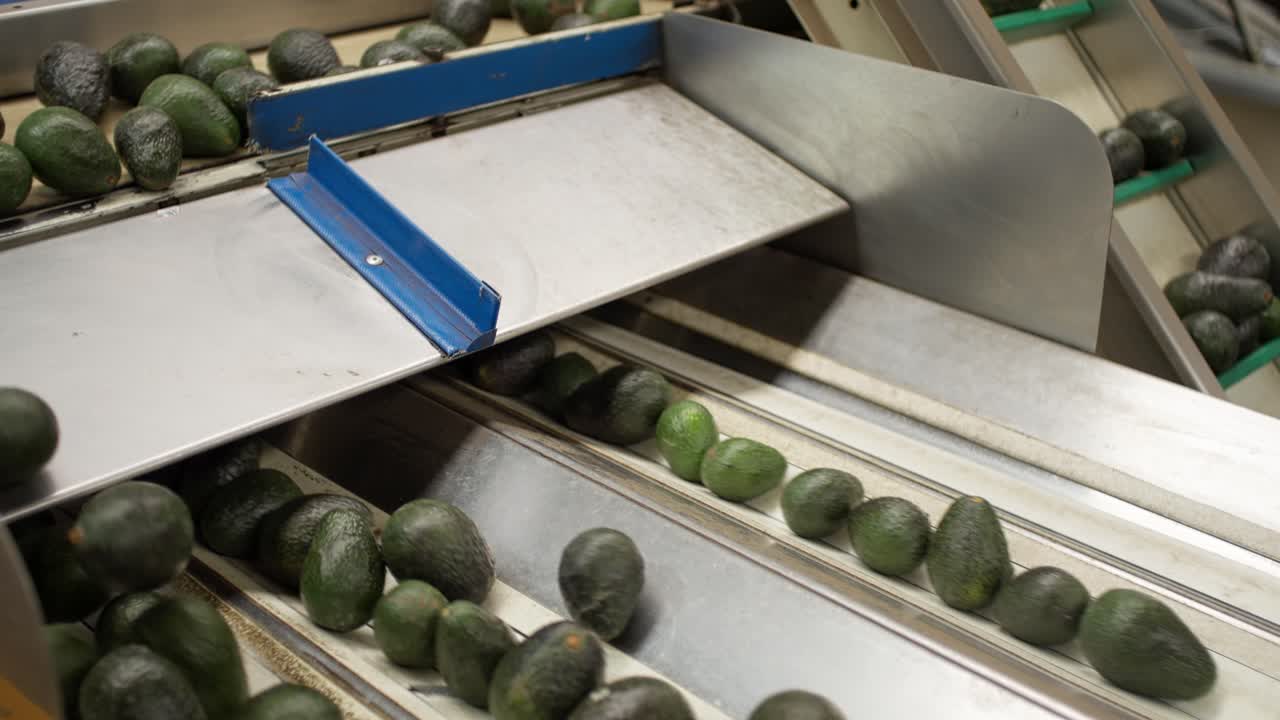 우루아판 의 포장소 에서 아보카도 로 만든 느린 동작 의 돌리