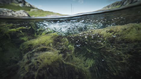una toma por encima y por debajo del río poco profundo
