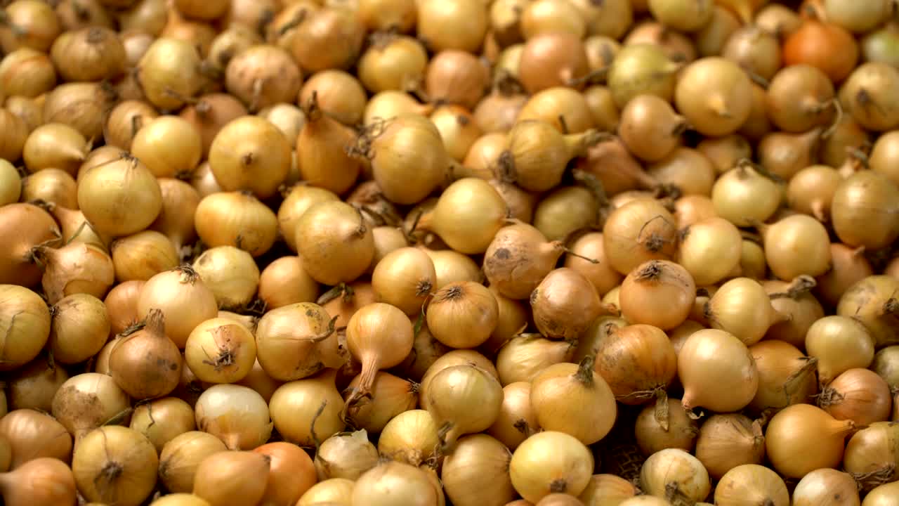 el fondo de rotación de las cebollas blancas