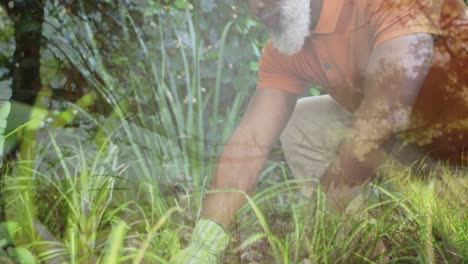 Video-of-blue-lights-over-biracial-man-working-in-the-garden