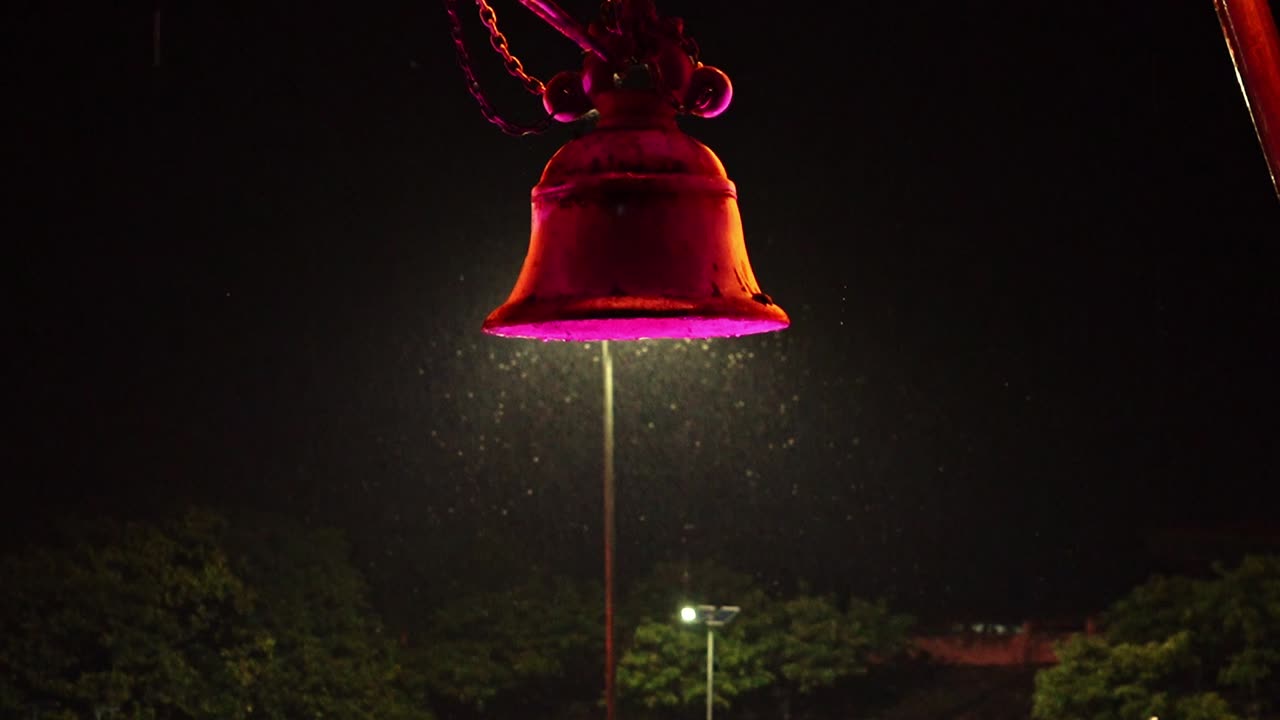 비 오는 밤에 형형형색색의 빛나는 종 주위를 날아다니는 곤충 떼 - 가까이