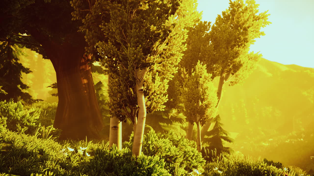 dibujo animado florecimiento del bosque verde en la puesta de sol