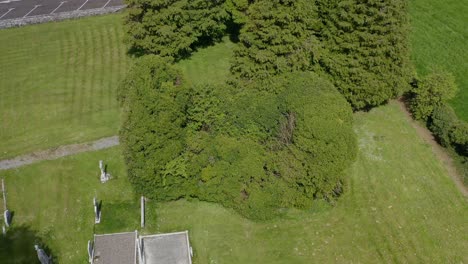 überwucherte-Pflanzen-Bedecken-Cargin-Kirchenmauern-Von-Friedhof-In-Wiese