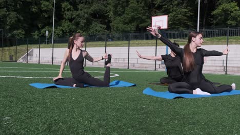 engaging in a serene yoga practice outdoors filled with graceful poses and surrounded by beautiful engaging in a serene yoga practice outdoors filled with graceful poses and surrounded by beautiful natural scenery