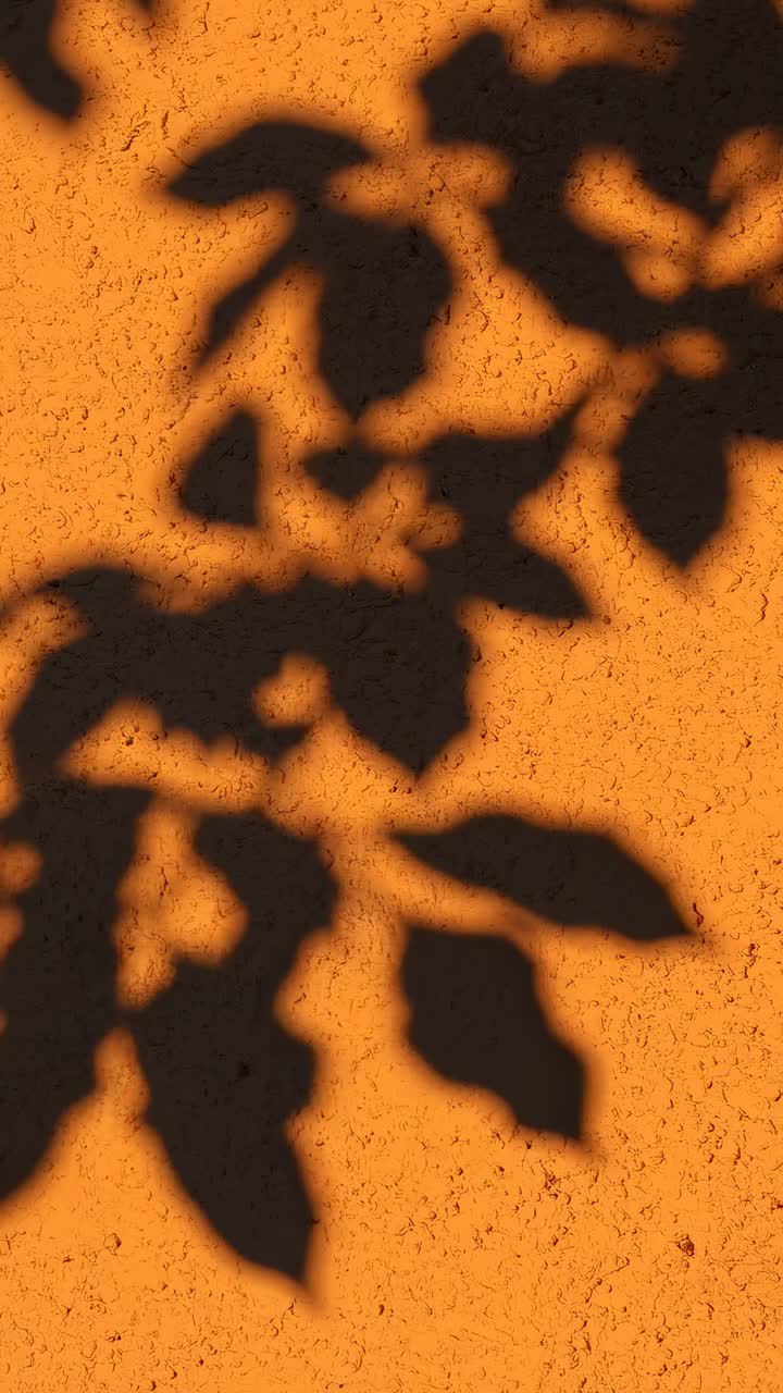 Shadow of leaves on an orange wall, captured from a side angle, perfect for a video backdrop