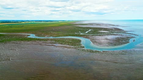 pisos de barro agrietados en un pantano salado