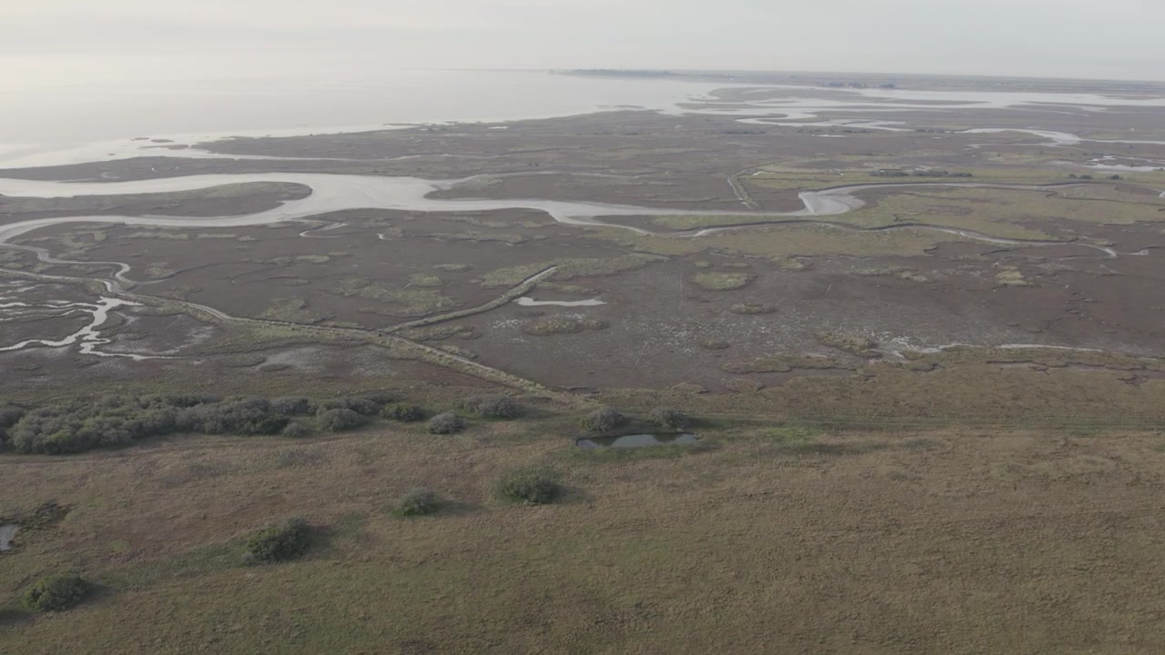Un drone vola in avanti dalla fitta vegetazione palustre verso una serie di lagune costiere poco profonde, mettendo in mostra il variegato paesaggio umido di Campos del Tuyú, Argentina.