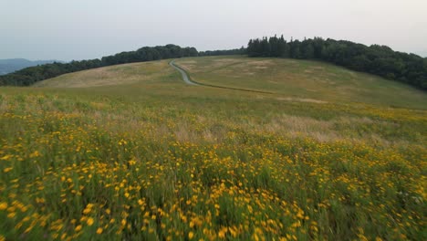 aerial-of-meadow-near-blowing-rock-nc,-north-carolina-in-watauga-county-nc