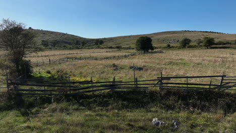 Drone-flight-over-village-meadows-divided-by-wooden-fences