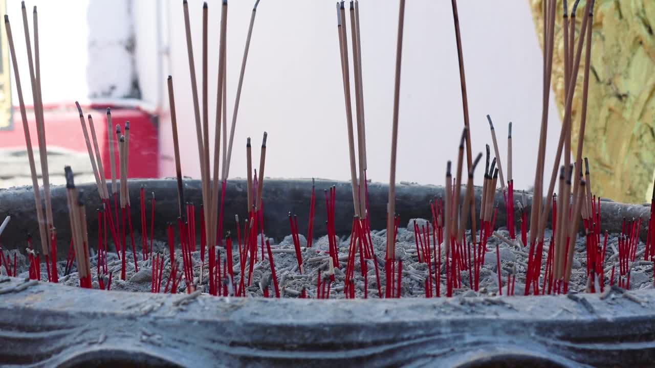 불타는 향나무의 타임스