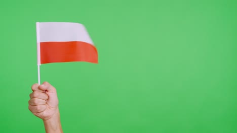 wind waving a polish pennant holding by a hand