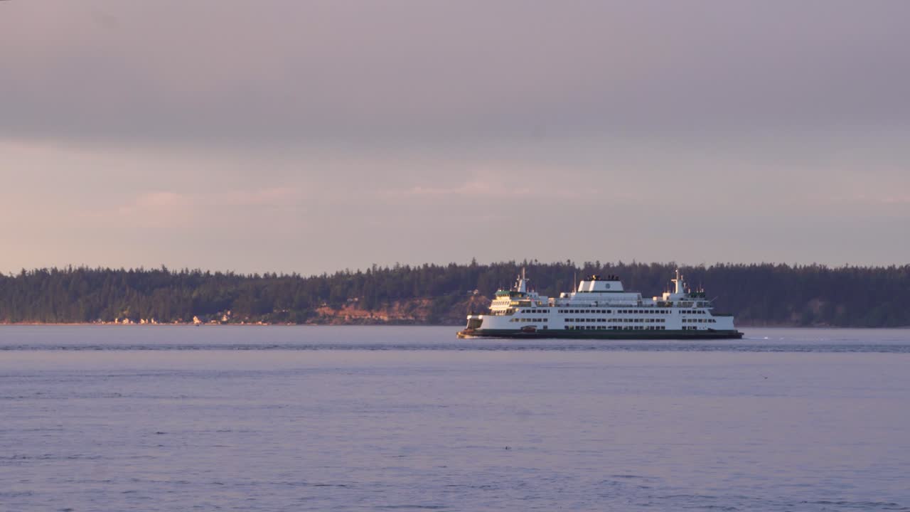 워싱턴 공원을 여행하는 대형 유람선 - 와이드 샷