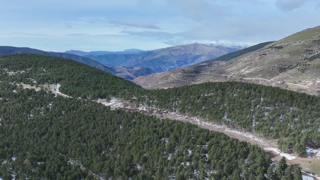 aerial views of snow-covered forests in the Pyrenees