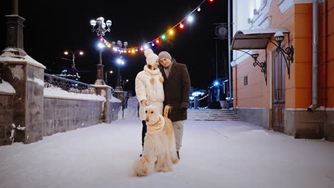 couple walking dog in snow at night