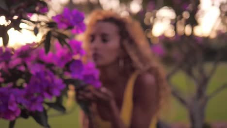 une belle femme appréciant le parfum des fleurs de centradenia dans un jardin fleuri - zoom arrière focus