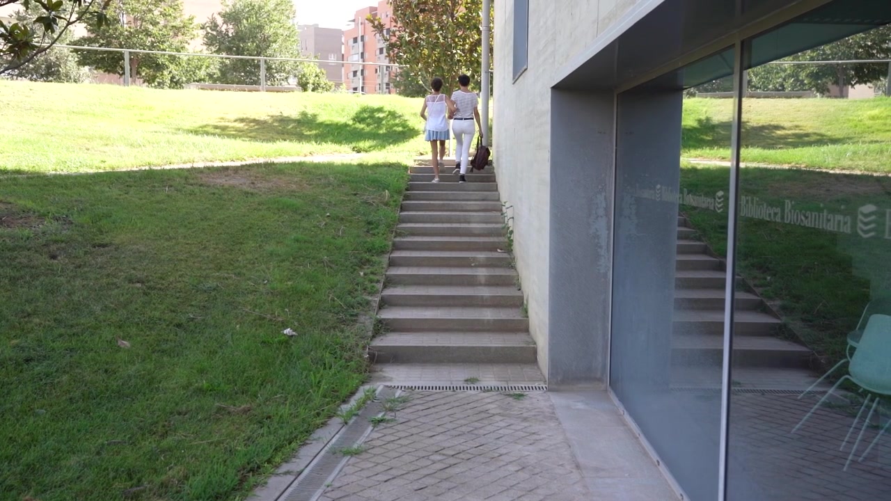 To kvinder går afslappet op ad trappen i en solrig park fyldt med grønt.