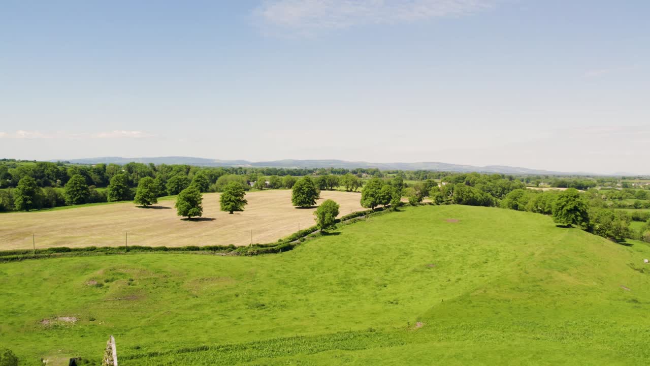 video hd aéreo de árboles de hadas irlandeses que crecen en un campo de hierba cortada para ensilaje