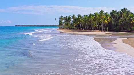 aerial forward over caribbean playa coson, las terrenas in dominican republic