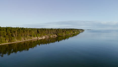 Barrido-Plano-Aéreo-De-Öland,-Suecia,-Mirando-La-Línea-Costera-Junto-Al-Mar-En-La-Orilla-Donde-Los-Bosques-De-Pinos-Verdes-Y-Exuberantes-Se-Encuentran-Con-Los-Acantilados-De-La-Playa-Vacaciones-De-Agua-Azul-Cielos-Despejados-Hermosa-Naturaleza