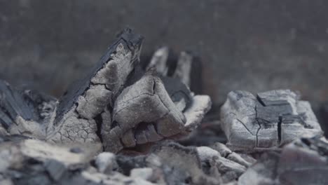 close-up of charcoal briquettes