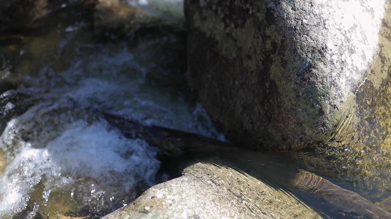 speed ramp close shoot for running river between two big rocks and a branch of wood
