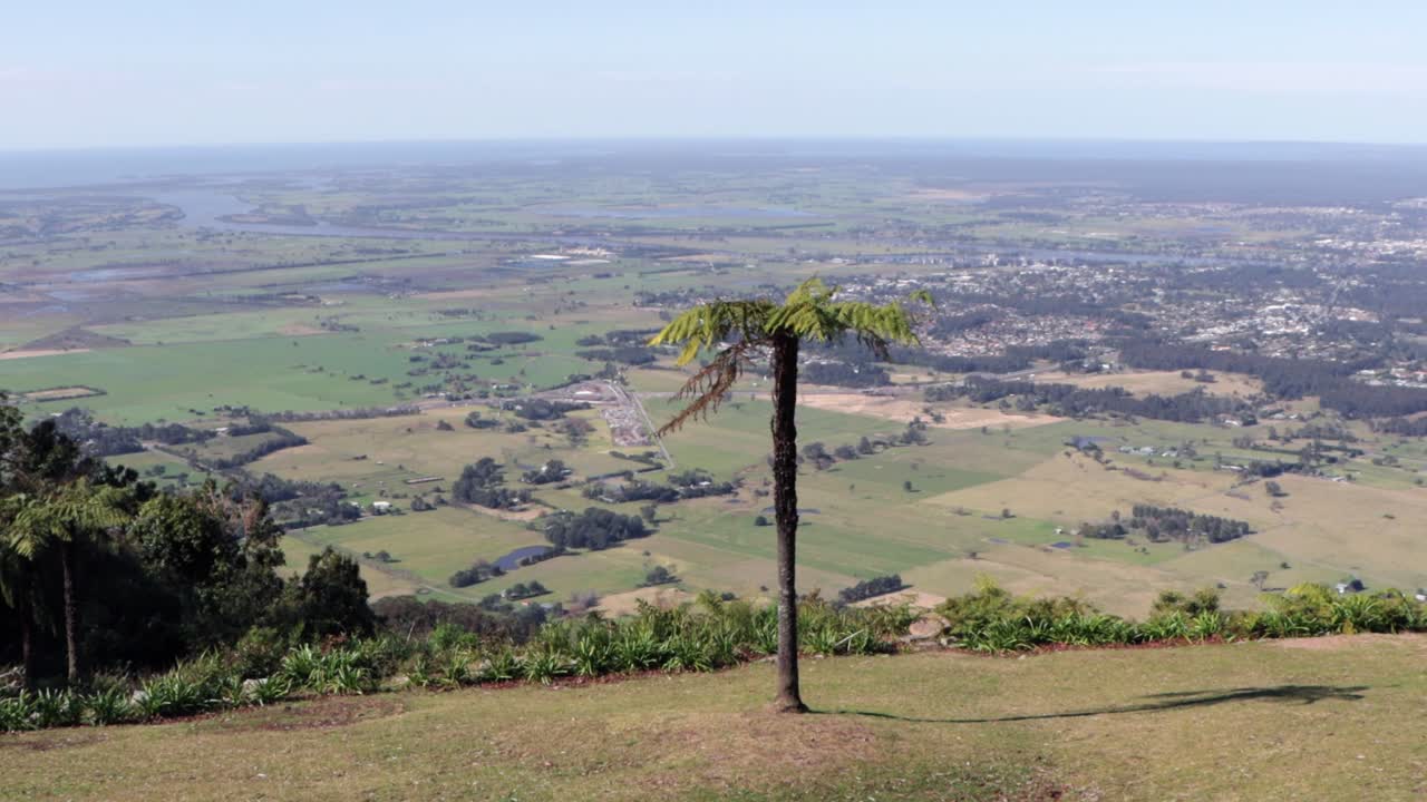 버더루 국립공원에서 베리스 베이 오스트레일리아가 내려다보이는 고독한 야자수, 핸드헬드 샷