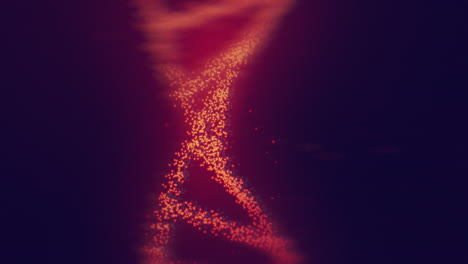 estructura del adn