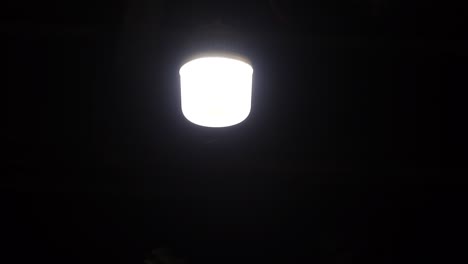 a flock of moth circles around the lanterns. insects, moths, flying into the light at night.