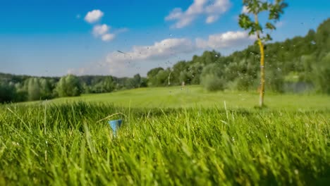 golf club hits a golf ball in a super slow motion. drops of morning dew and grass particles rise into the air after the impact.