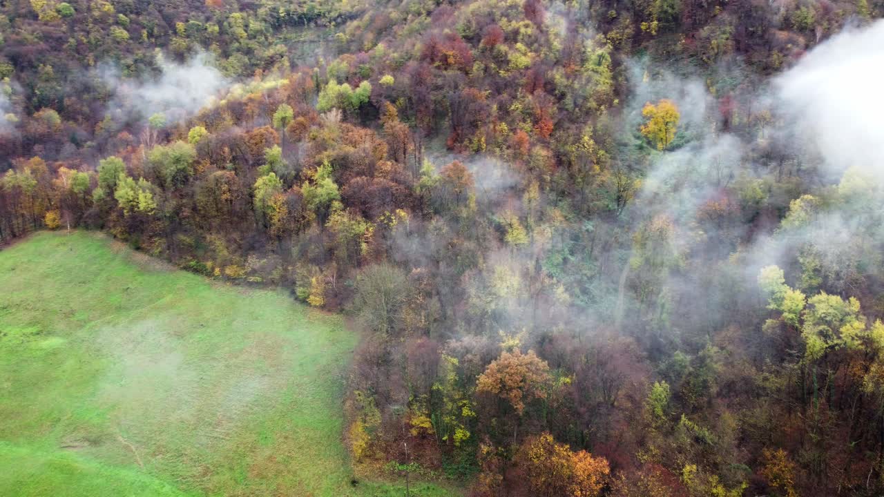 Aerial View of Autumn Forest with Fog