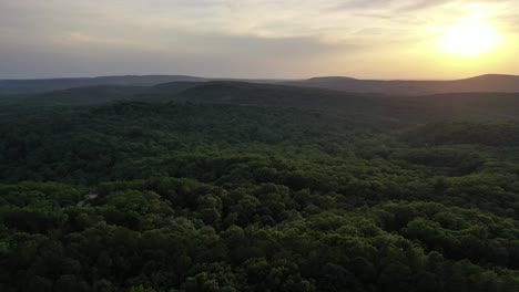 vast jungle forest landscape with sun in sky in aerial drone view