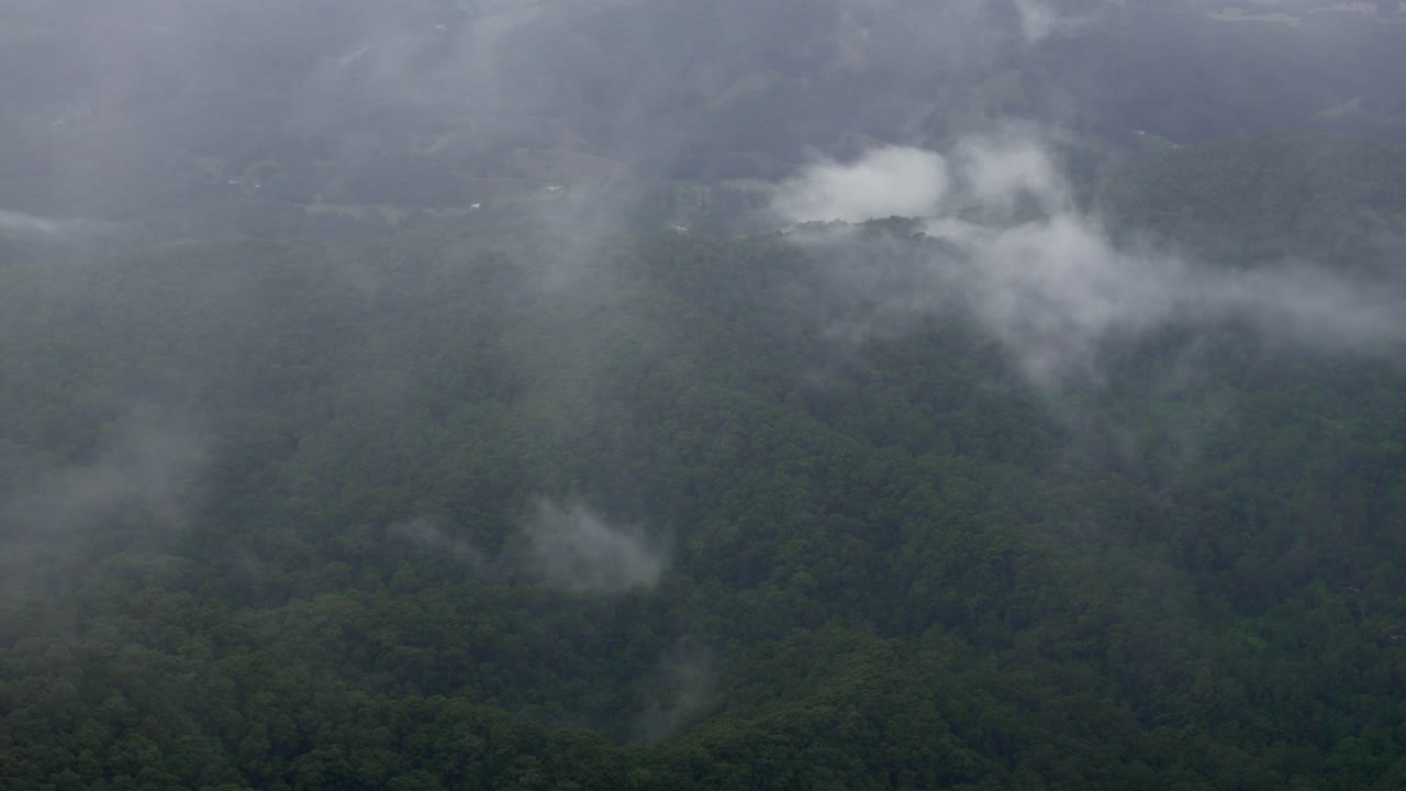 Rainforest jungle forest, aerial viewpoint time-lapse fog covered early morning