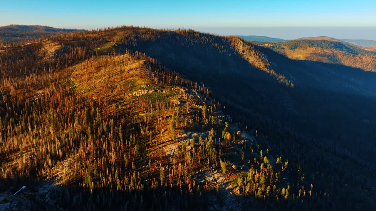 Distancing from the rolled tops of mountains in the Sierra National Forest, USA. Dry pine trees growing on the slopes of the rocks. Aerial view at sunset.